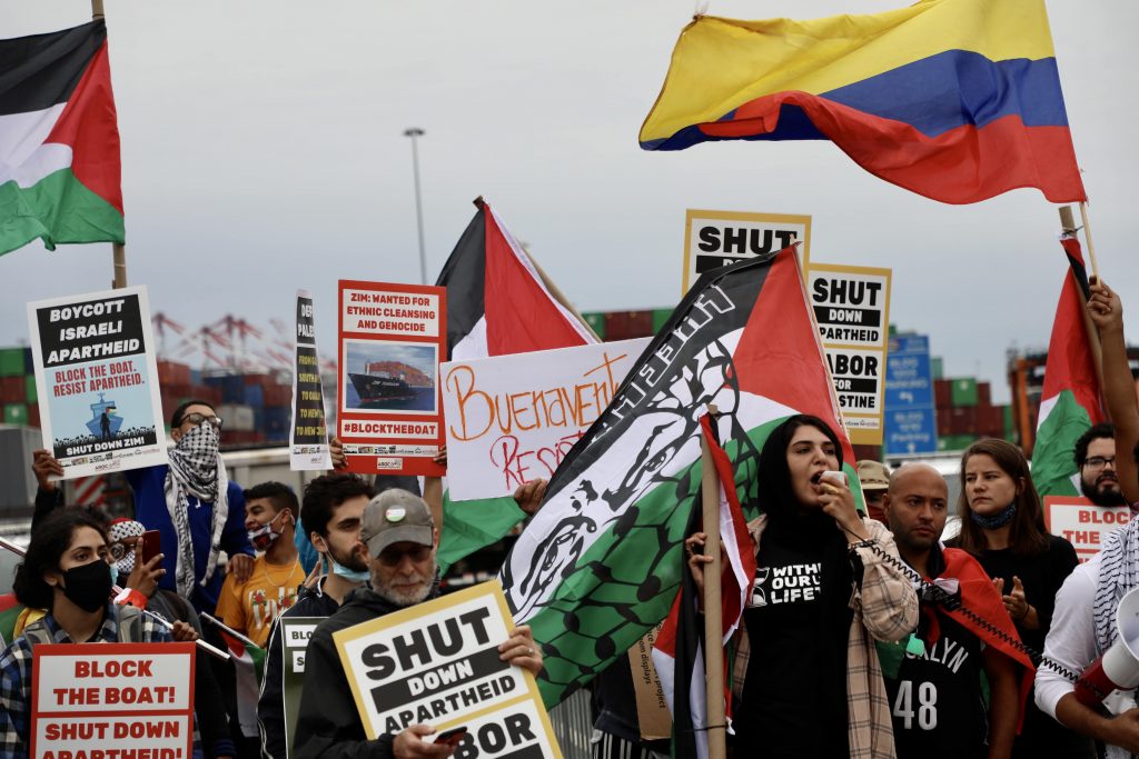 woman speaks into microphone in front of crowd holding signs & flags