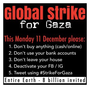 Global Strike for Gaza This Monday 11 December please 1. Don't buy anything (cash/online) 2. Don't use your bank accounts 3. Don't leave your house 4. Deactivate your FB / IG 5. Tweet using #StrikeForGaza Entire Earth 8 billion invited